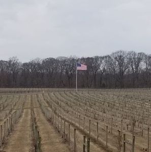 Meet your Posher, Nicholas